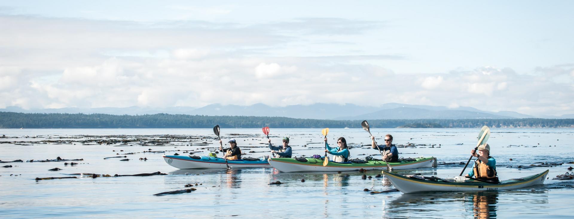 San Juan Outdoors - 3 Hour Kayak Tour San Juan Island