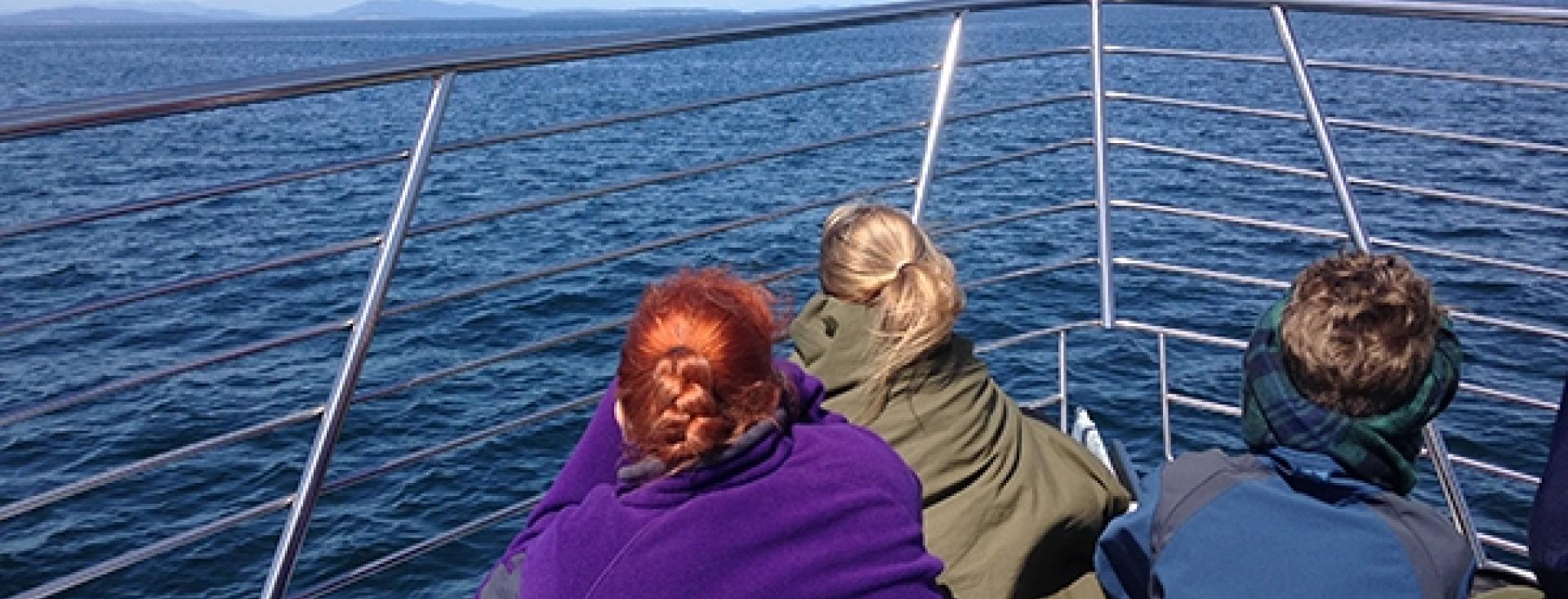 Whale Watching