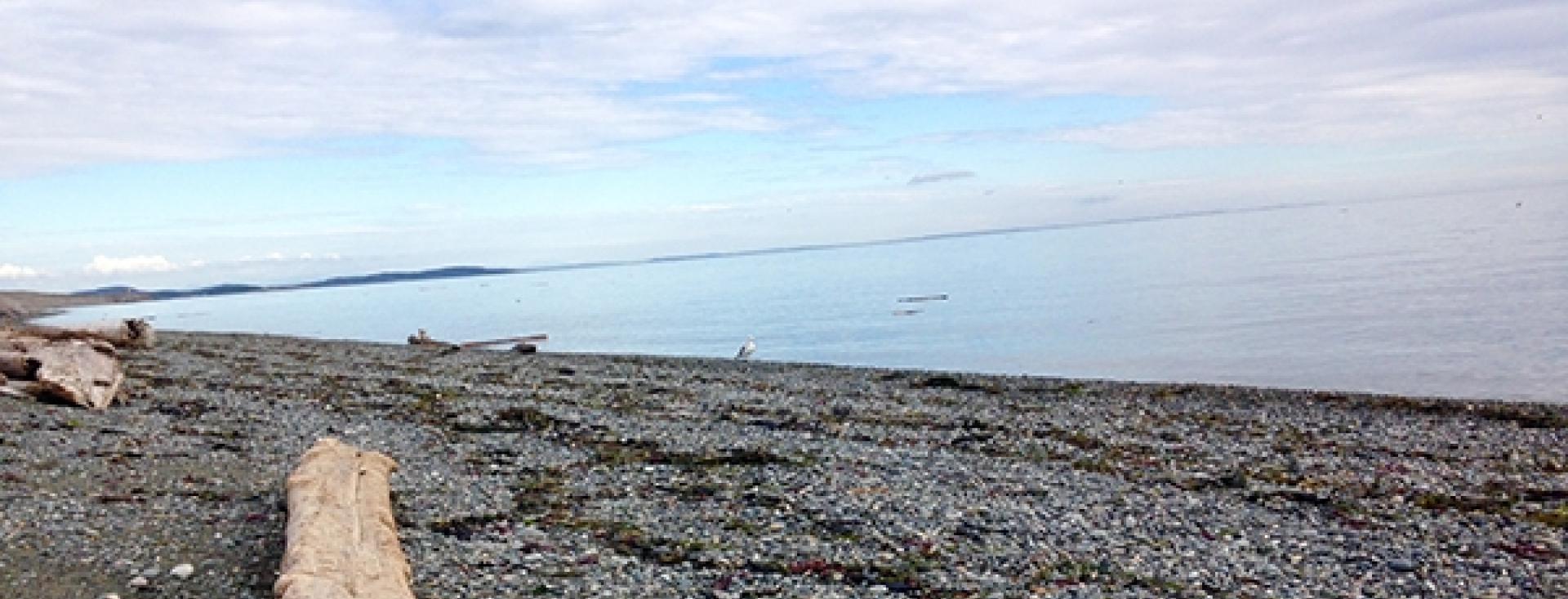 South Beach - San Juan Island, Washington