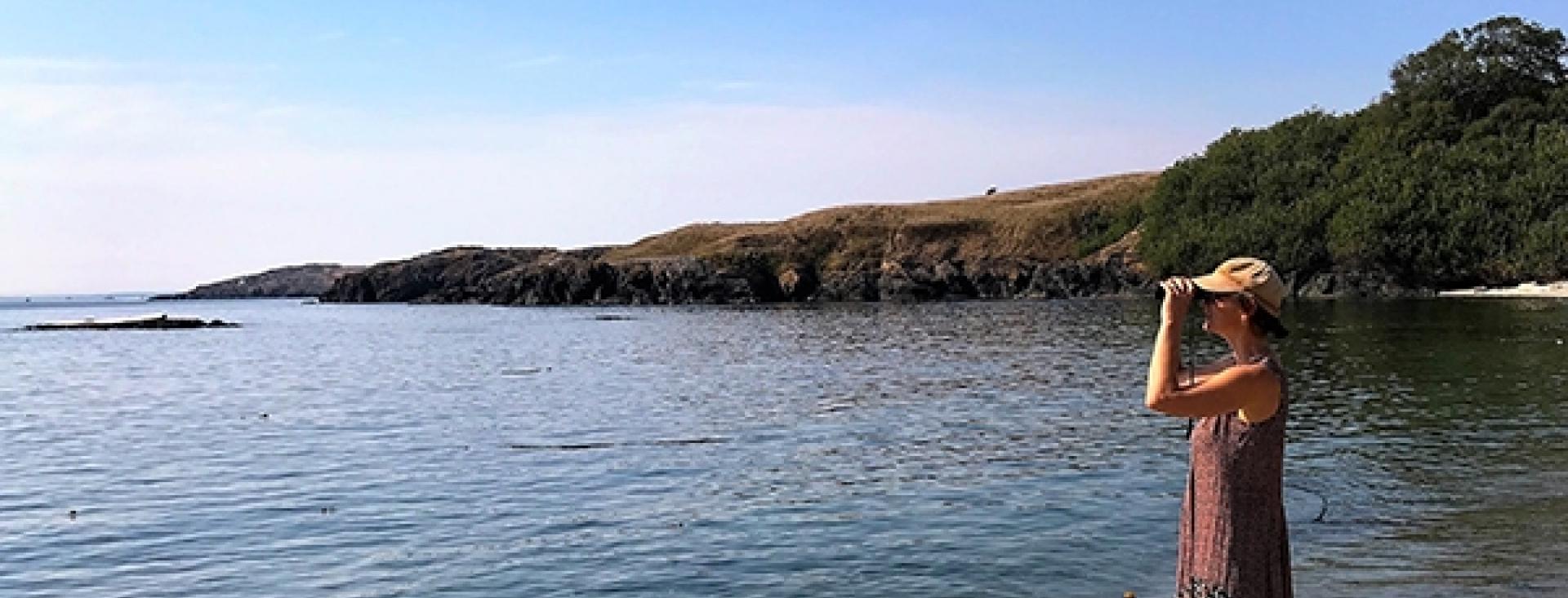 Best Places to See Orcas from San Juan Island