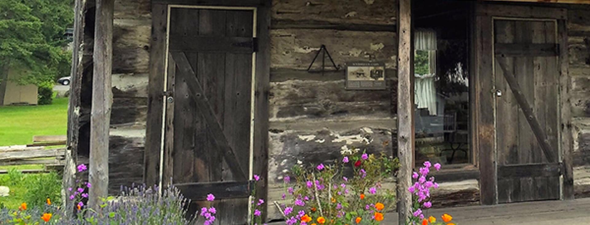 Best Time To Visit Cabin