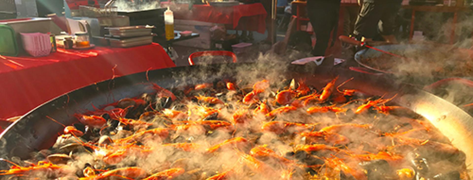 BR Blog - Best Time to Visit (shrimp)