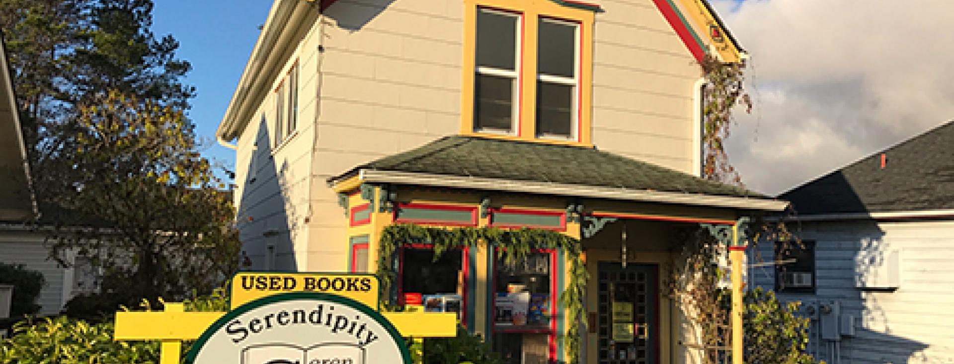 The Adorable Serendipity Bookstore