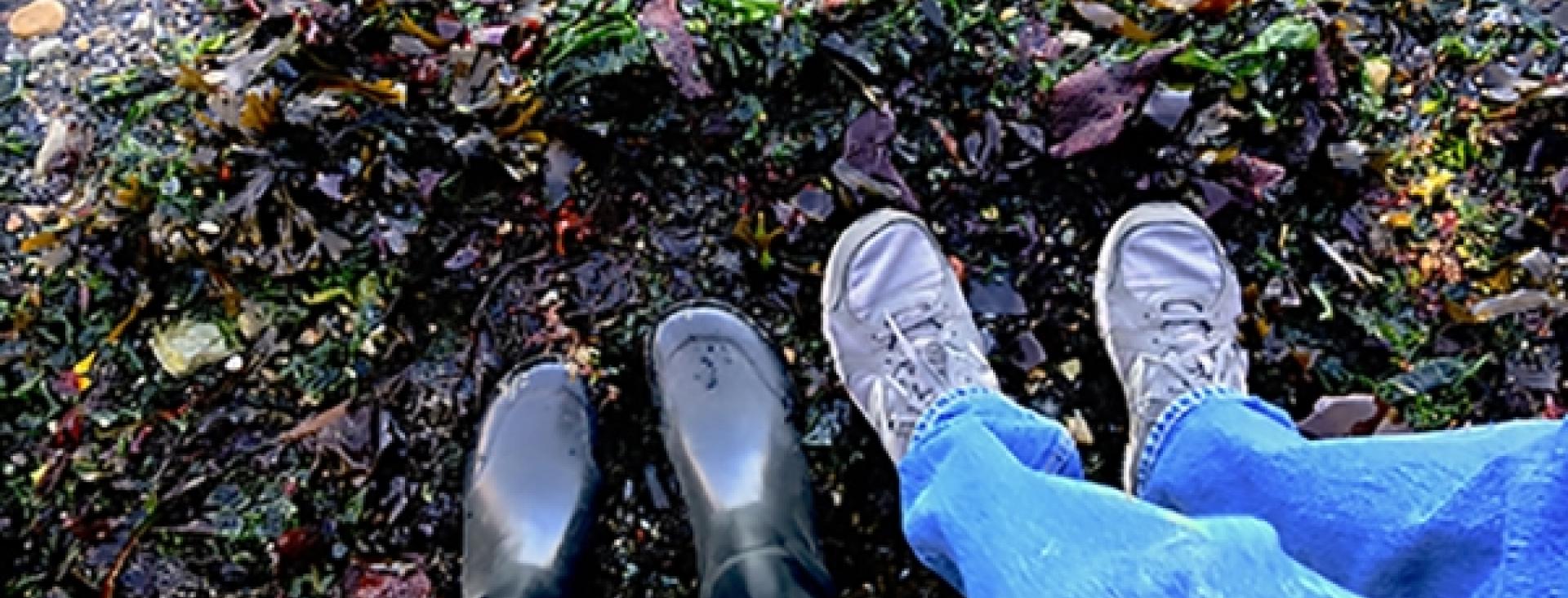 Feet in the Water on San Juan Island