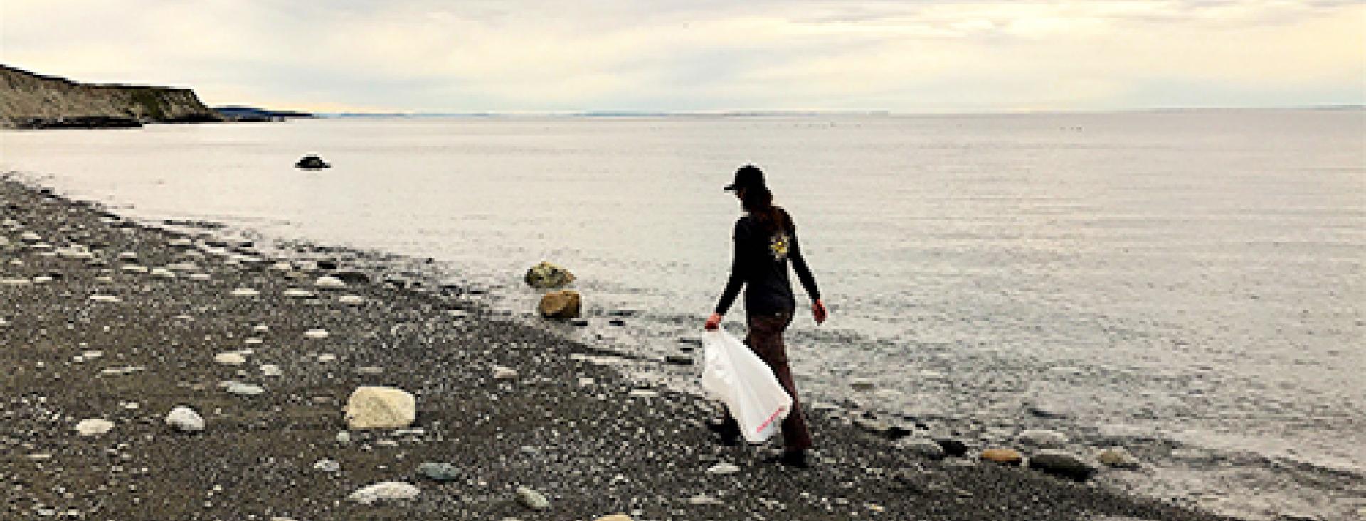 BR Blog - What you can do for Orcas (beach clean up)