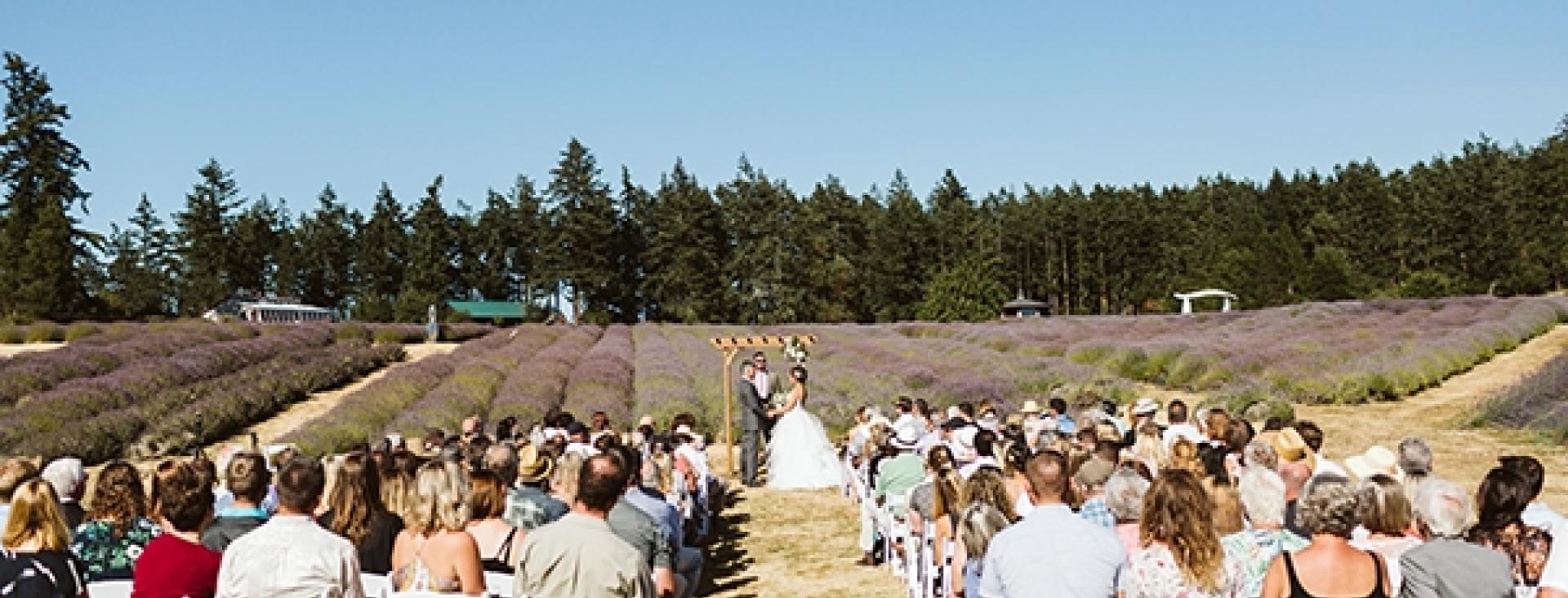 Wedding in a Lavender Field