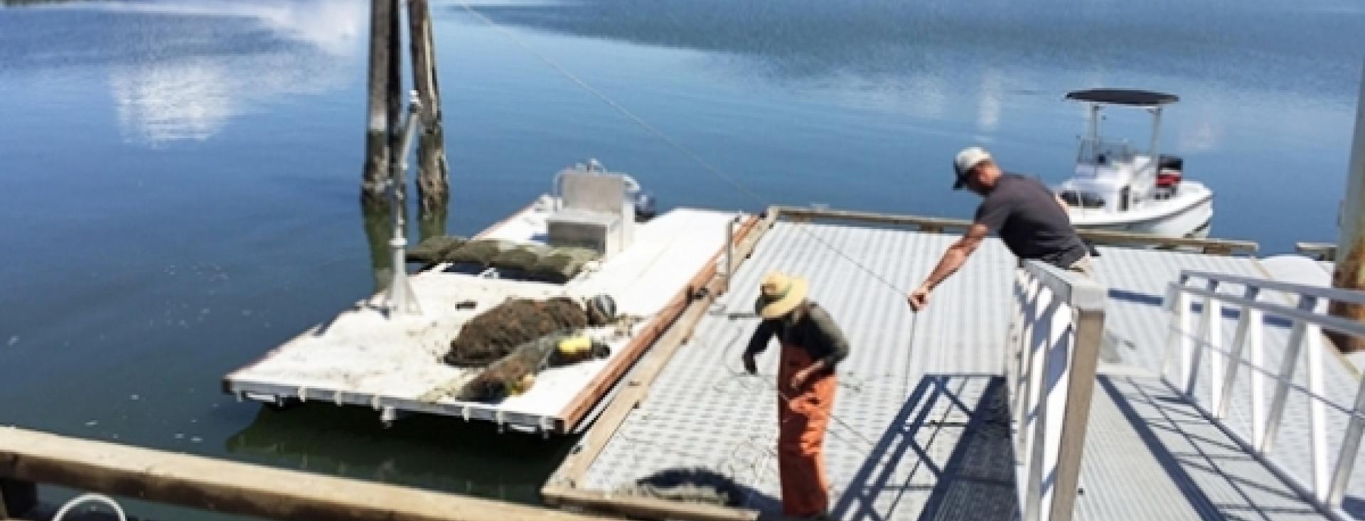 San Juan Island’s Westcott Bay Shellfish Co
