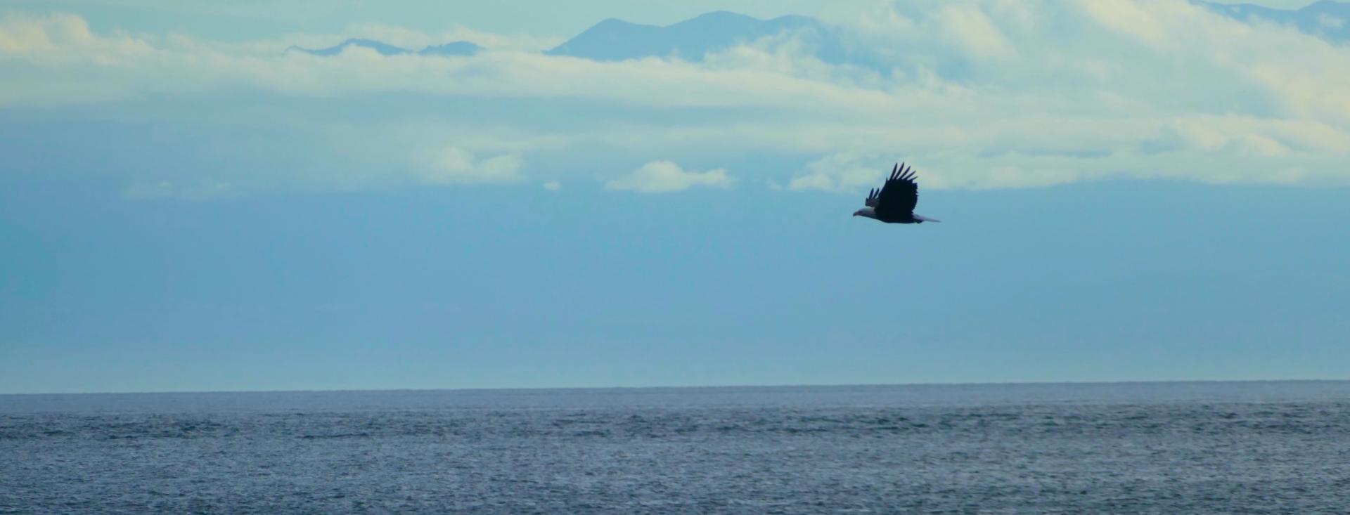 San Juan island, Washington