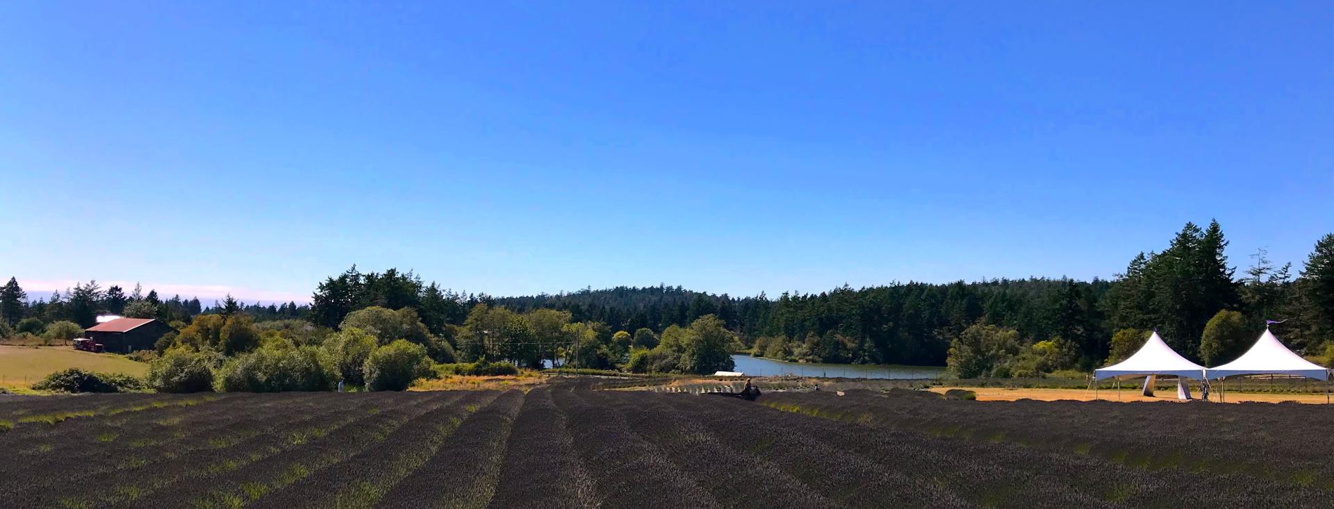 San Juan Island, Washington