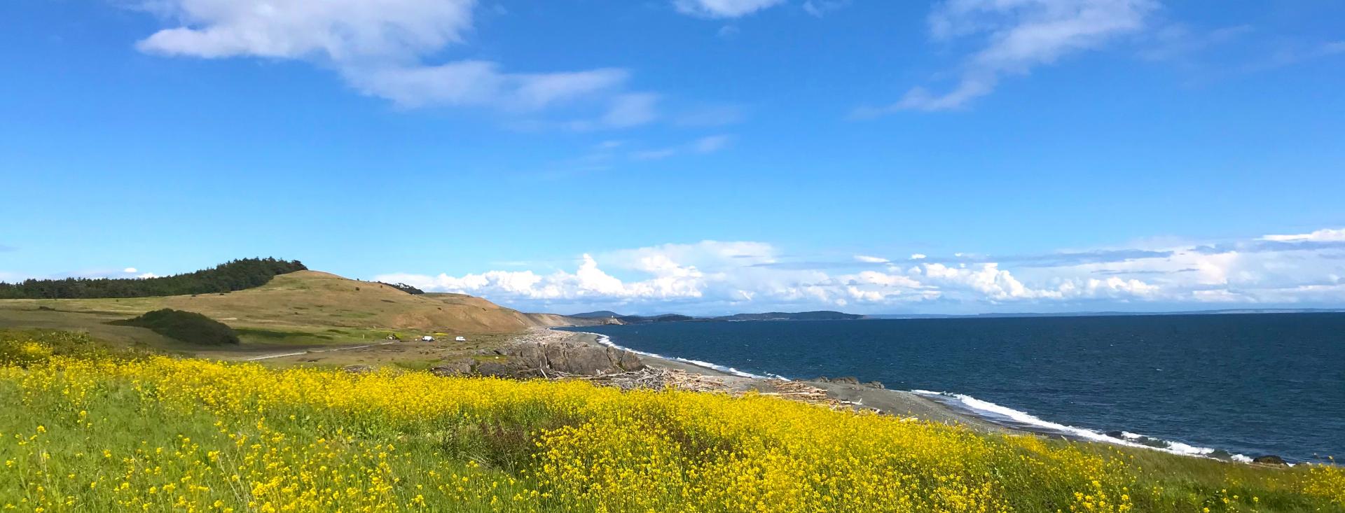 5 Dazzling Wildflower Hikes on San Juan Island Bird Rock Hotel