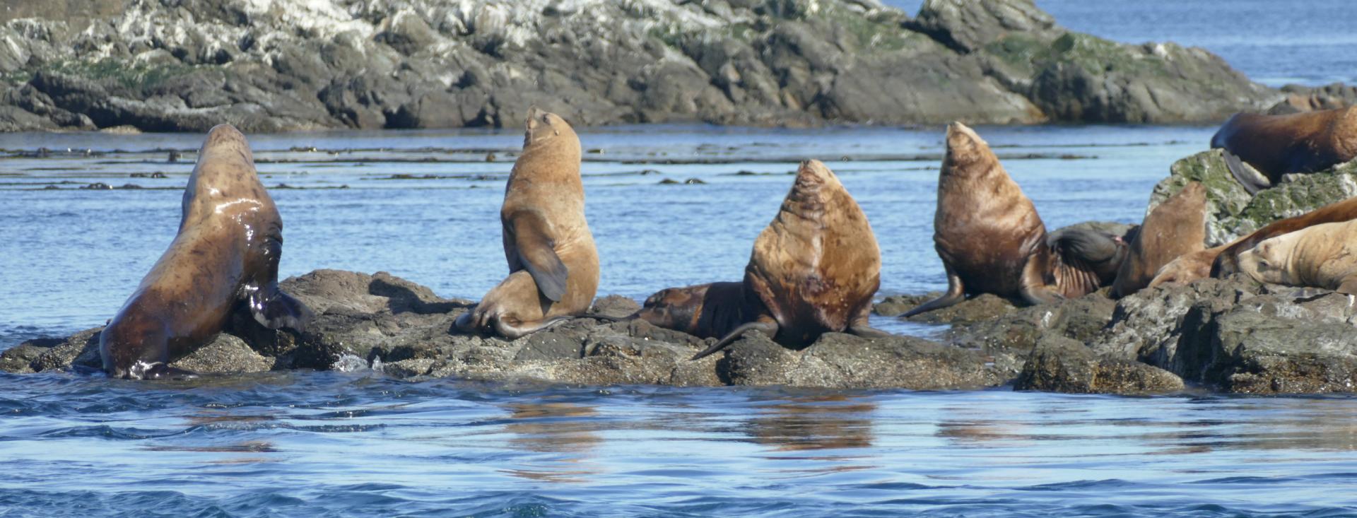 San Juan Island, Washington