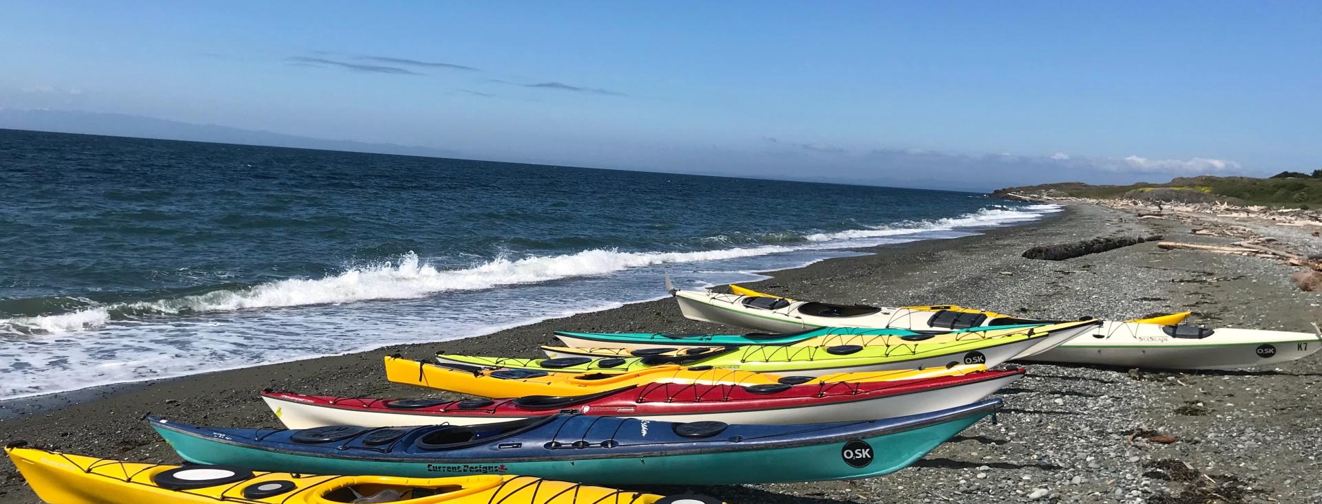 Bioluminescent Kayak Tour, Sea-Kayaking & Whale Watching