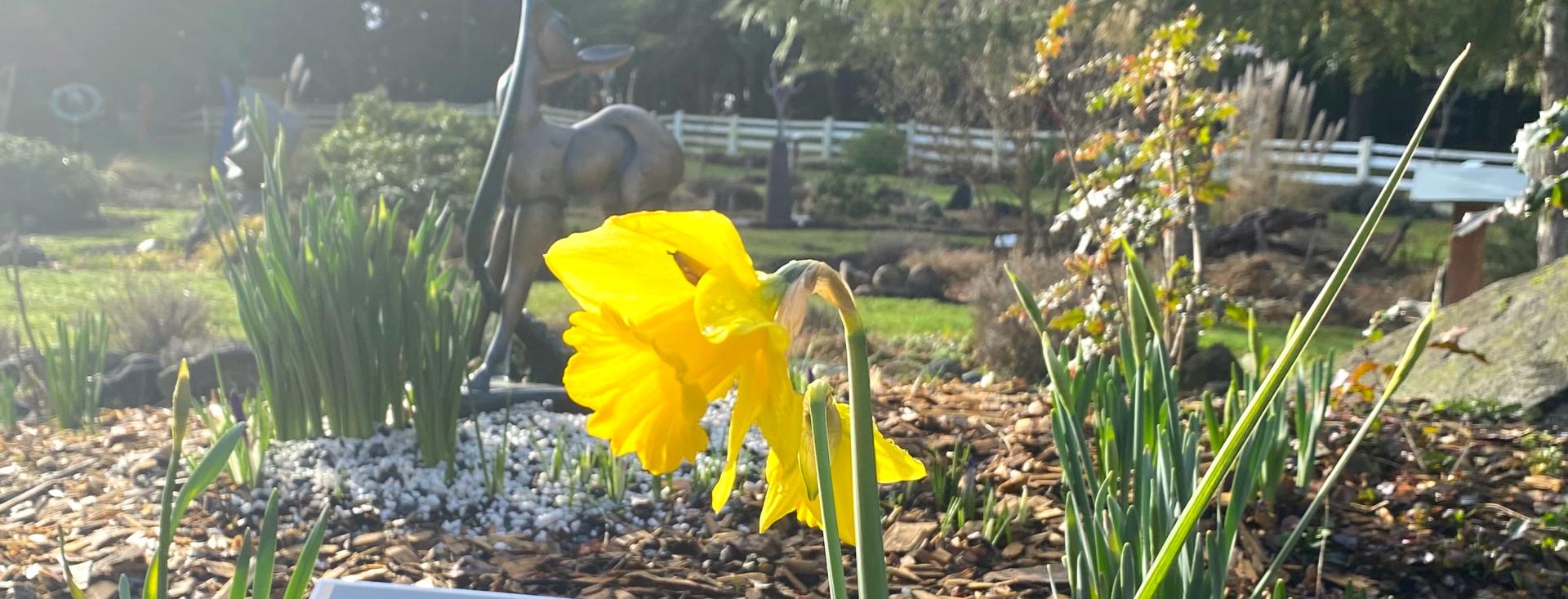 San Juan Island, Washington