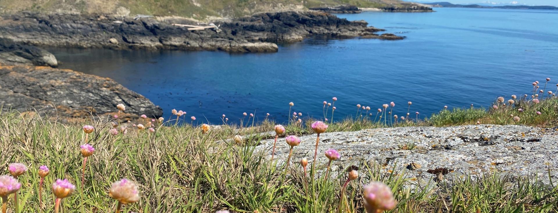 San Juan Island, Washington