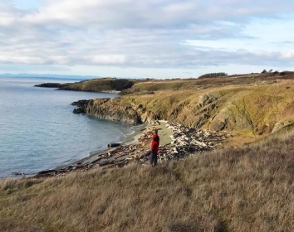 Christmas on South Beach, San Juan Island, Washington
