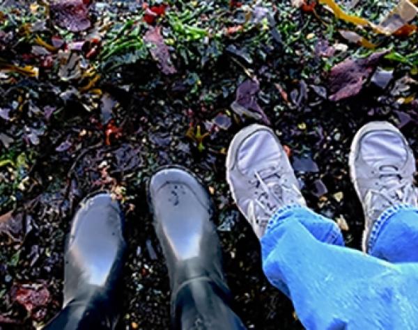 Feet in the Water on San Juan Island