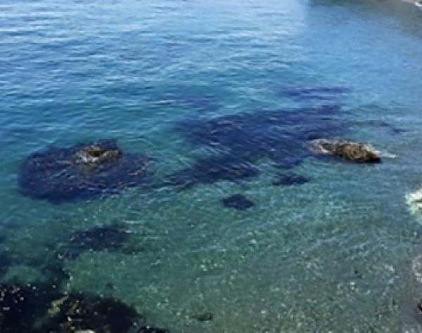 San Juan Island Picture