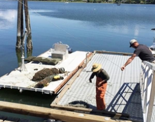 San Juan Island’s Westcott Bay Shellfish Co