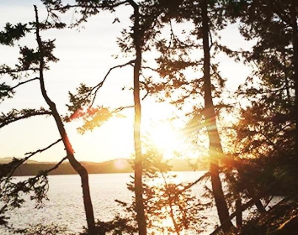 Beautiful North Shore San Juan Island