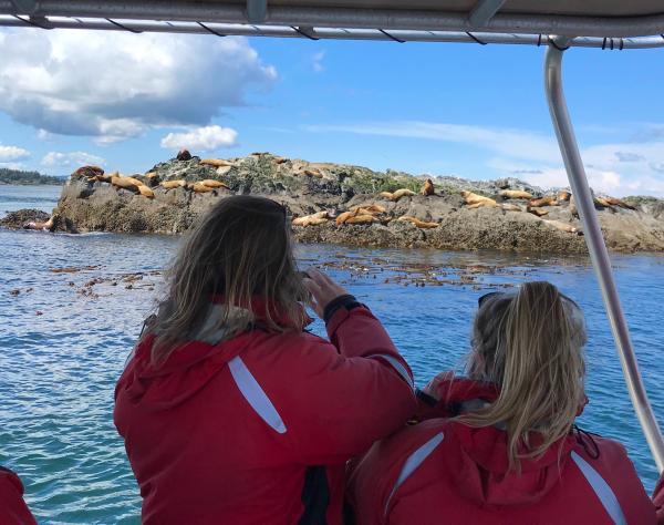 Wildlife on San Juan Island