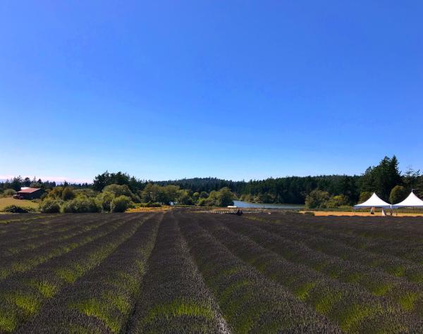 San Juan Island, Washington