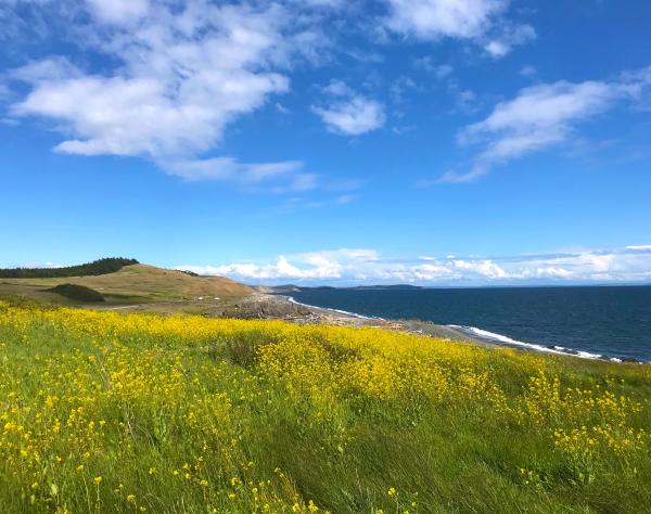 San Juan Island, Washington