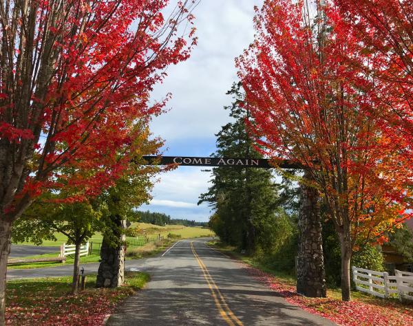 San Juan Island, Washington