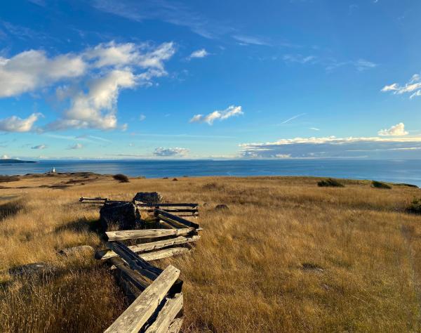 San Juan Island, Washington
