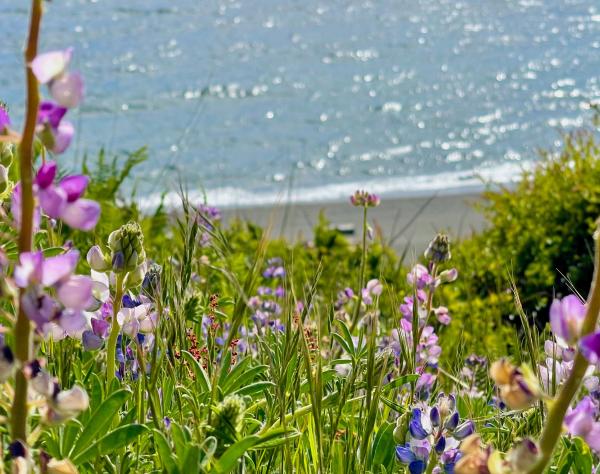 San Juan Island, Washington