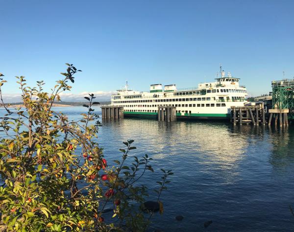 San Juan Island, Washington