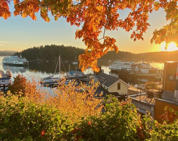 Friday Harbor, Washington