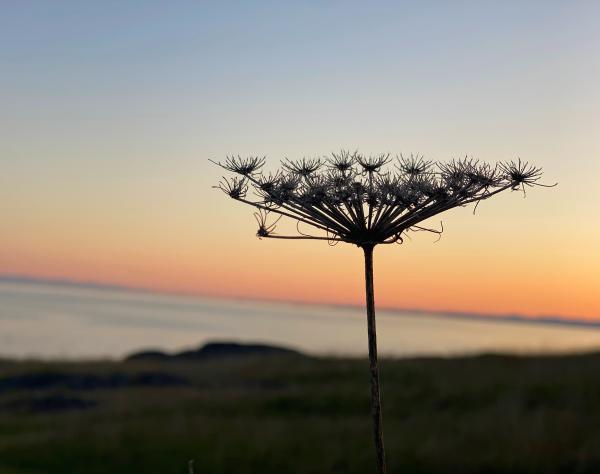 San Juan Island, Washington