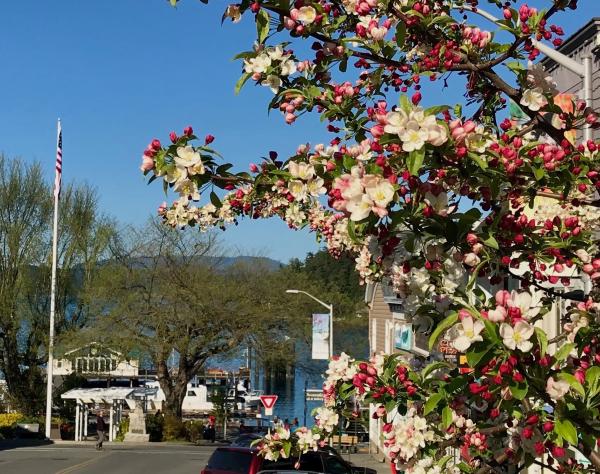 Friday Harbor, Washington