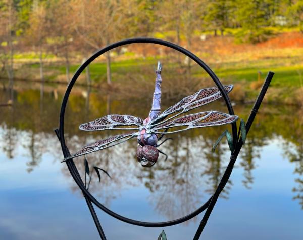 San Juan Island, Washington