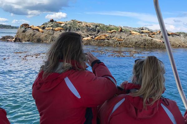 Wildlife on San Juan Island