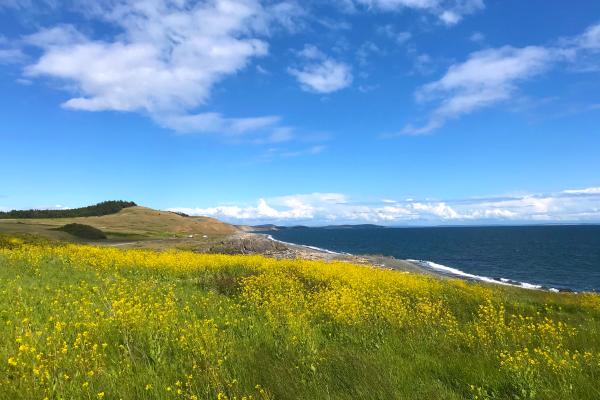 San Juan Island, Washington