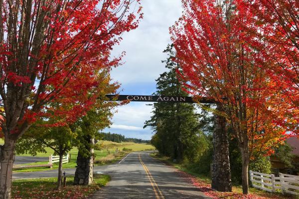 San Juan Island, Washington