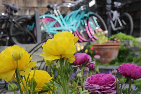 Bird Rock Hotel, Friday Harbor, WA