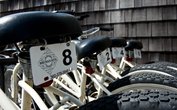 Bird Rock Hotel - Beach Cruiser Bicycles
