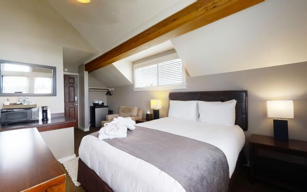 Bird Rock Hotel - Succia Room