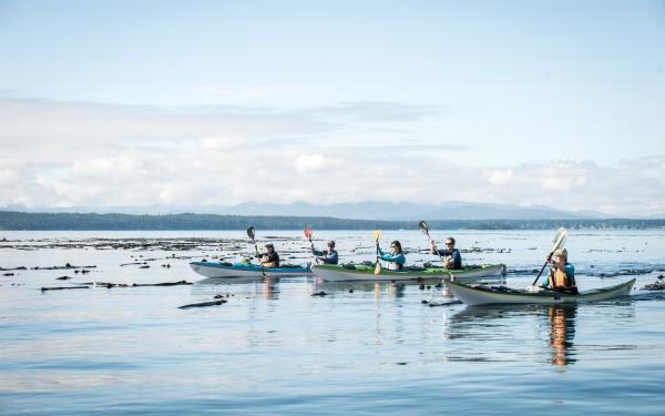 San Juan Outdoors - 3 Hour Kayak Tour San Juan Island