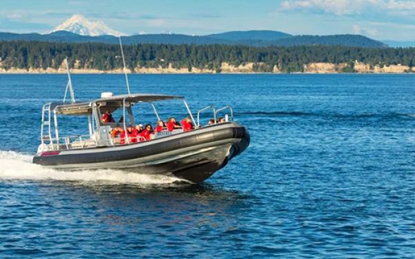Whale of the Weekend, Krestrel Boat