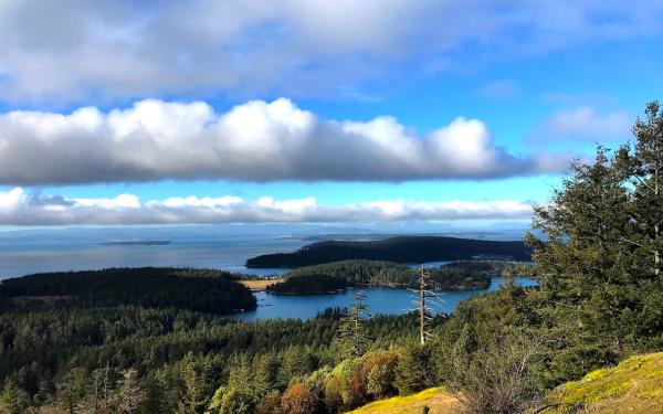 Best hikes on San Juan Island