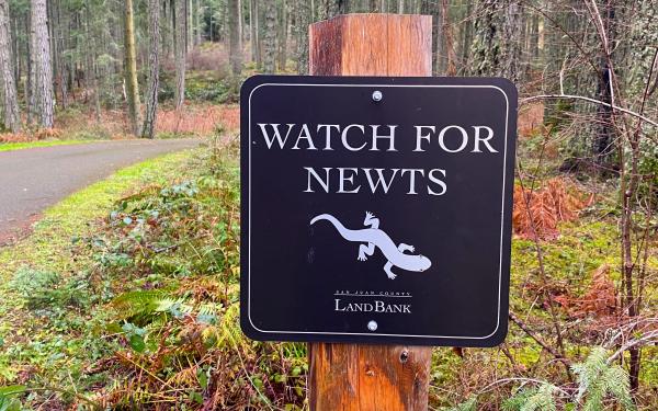 San Juan Island, Washington