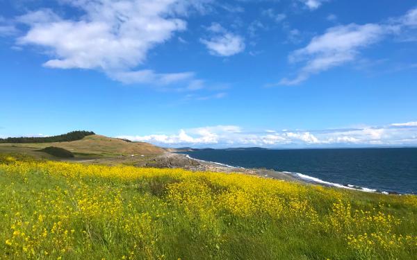 San Juan Island, Washington