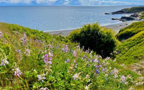 San Juan Island, Washington