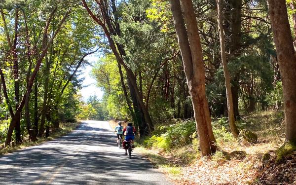 San Juan Island, Washington