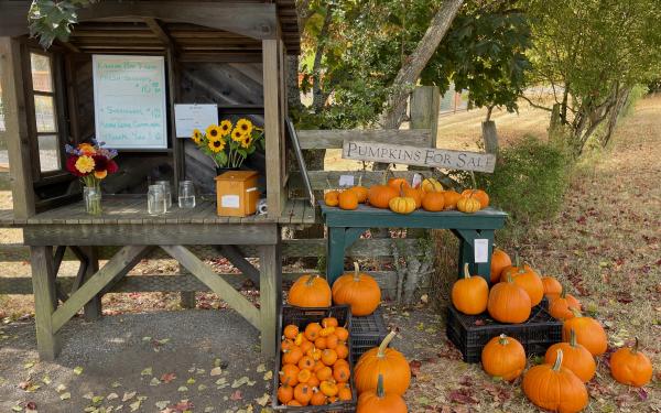 San Juan Island, Washington