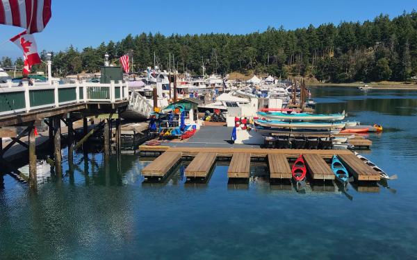 San Juan Island, Washington