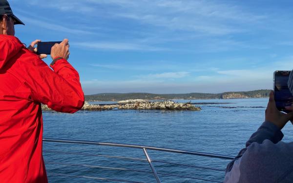 San Juan Safaris, Friday Harbor, WA